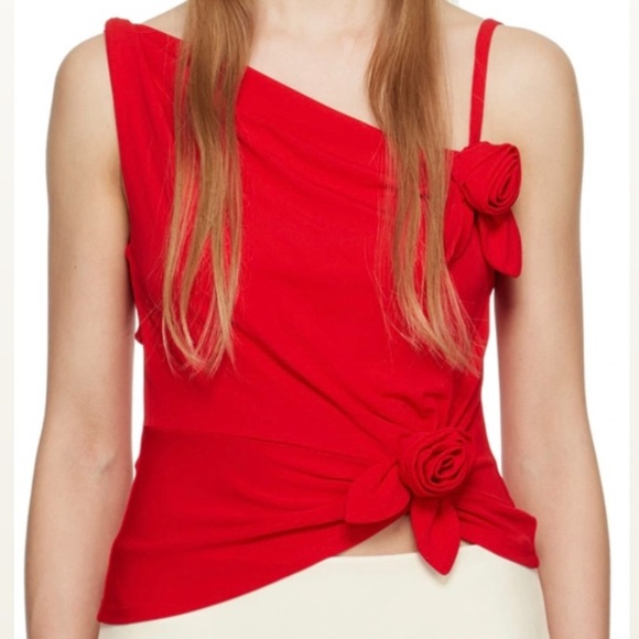 New Sandy Liang Georgia Top Red Rose 3D Floral Applique Medium - Picture 12 of 12